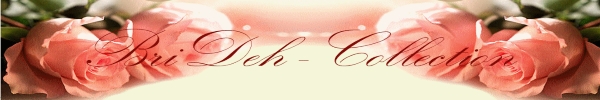 BriDeh-Collection-Logo