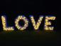 Preview: Vermietung - XXL Buchstaben LOVE aus Kunstblumen, beleuchtet