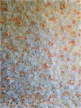 Vermietung - Blumenwand aus Kunstblumen