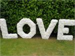 Vermietung - Große Buchstaben LOVE aus Kunstblumen, beleuchtet